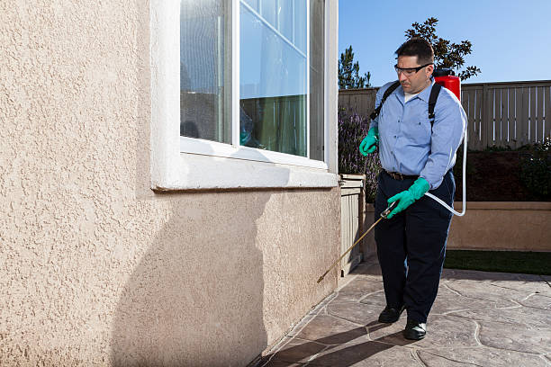 Indoor Pest Control in Green River, WY